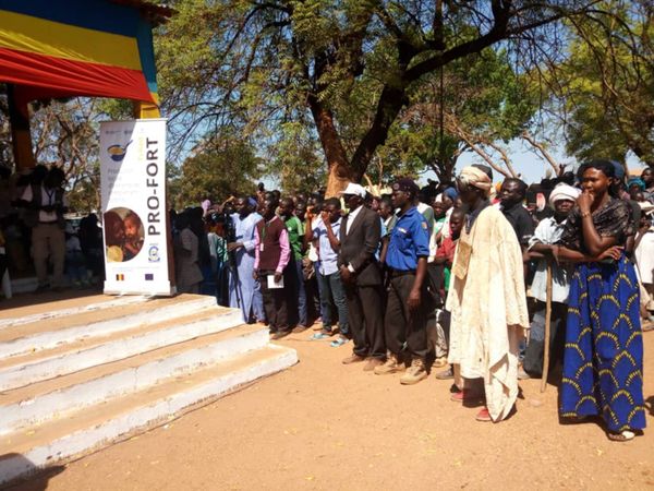 Tchad : lancement de la farine infantile fortifiée 