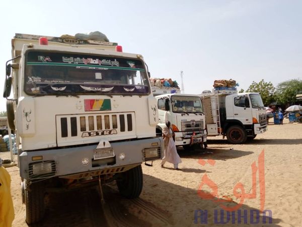 Tchad : à l'Est, le sésame s'exporte jusqu'au Soudan. © Alwihda Info