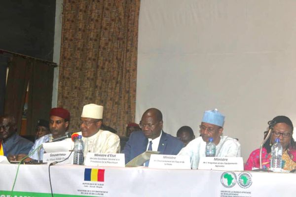 Tchad : dégradation effrénée de l’environnement, une 