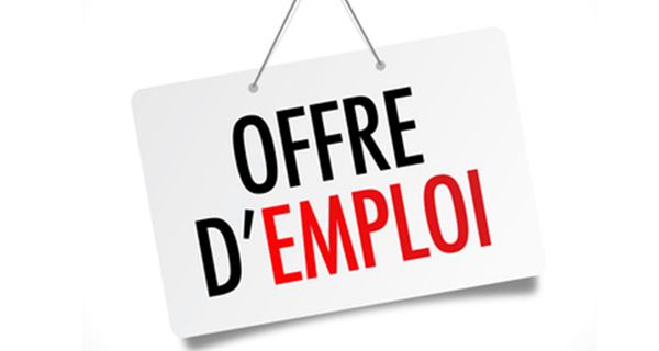 Tchad : offre de recrutement d'un ou une chargé(e) des affaires commerciales