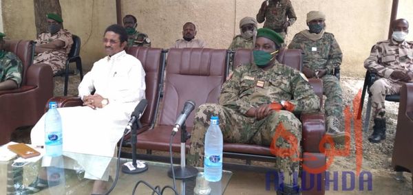 Tchad : trafic d'ivoire, la Garde forestière et faunique arrête plusieurs individus