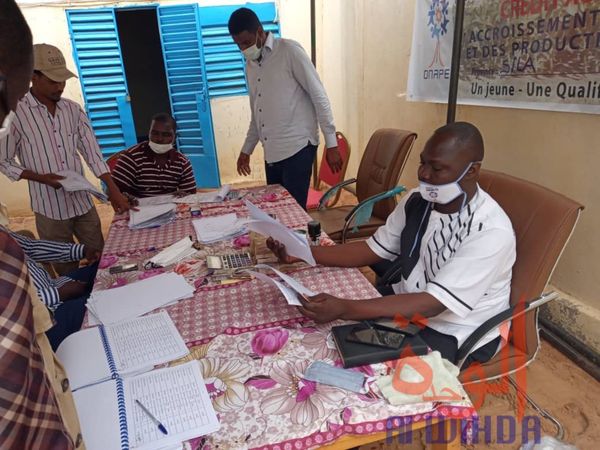 Tchad : au Sila, 1529 porteurs de projets bénéficient d'un financement de l'ONAPE