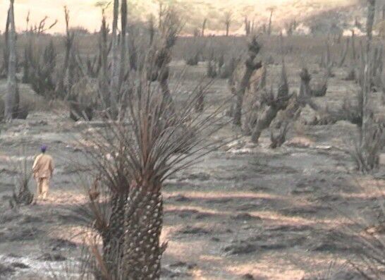 Tchad : un incendie ravageur à Tigui, dans le Borkou