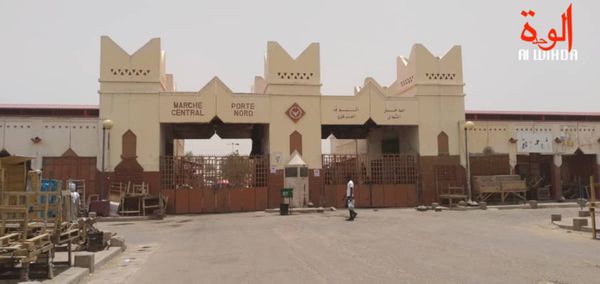 Tchad : "la diversification de l'économie ne dépend pas du seul déploiement" du gouvernement