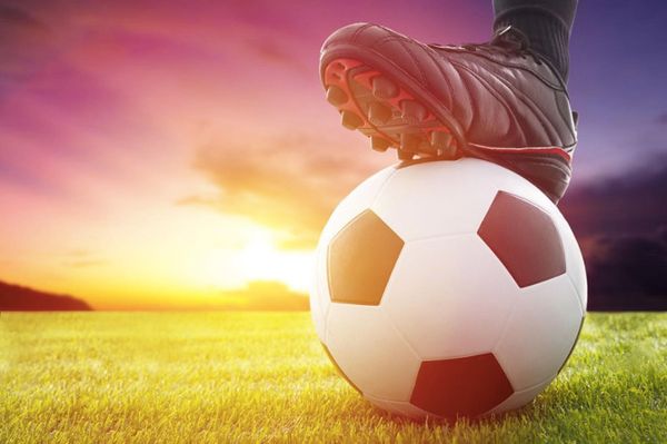 Rentable et éprouvé bet paris sportif — 1xBet