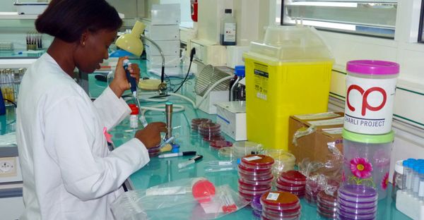 L'Institut Pasteur de Dakar. © DR/Pasteur.sn
