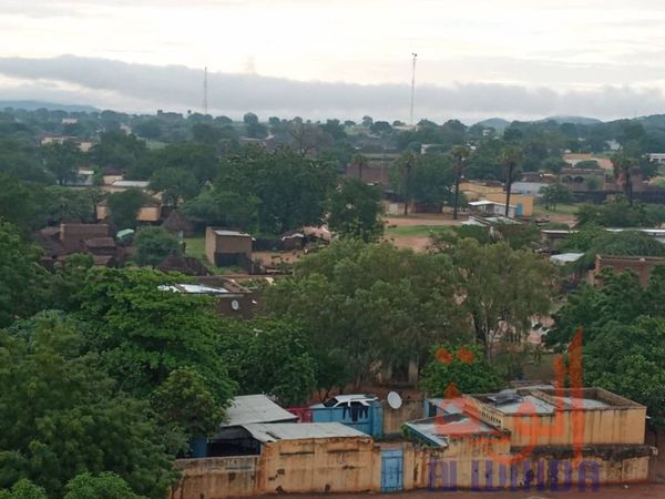 Tchad : un cas de Chikungunya détecté au Sila