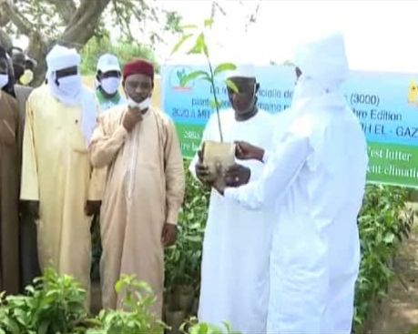 Tchad : au Barh El Gazel, une ONG honorée pour ses actions contre l'avancée du désert. © Béchir Badjoury/Alwihda Info