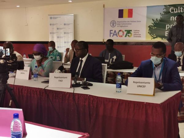 Tchad : la FAO commémore la Journée mondiale de l'alimentation et ses 75 ans. © Aristide Djimalde/Alwihda Info