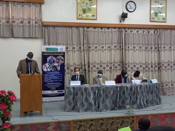 Tchad : la campagne de sélection du concours 