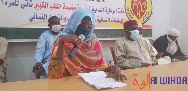 تشاد : مؤسسة القلب الكبير تنظم دورة تدريبية لصالح المنظمات النسائية في كيفية التسيير والتعاون الجماعي