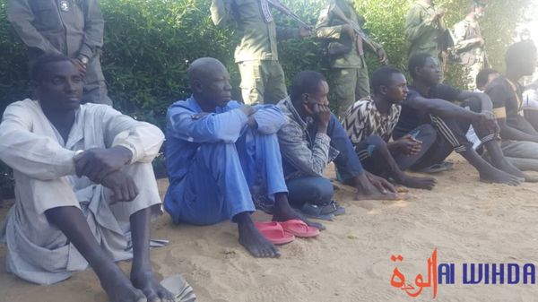 Tchad : assassinat d'un agent de la garde nomade à N'Djamena, 4 arrestations