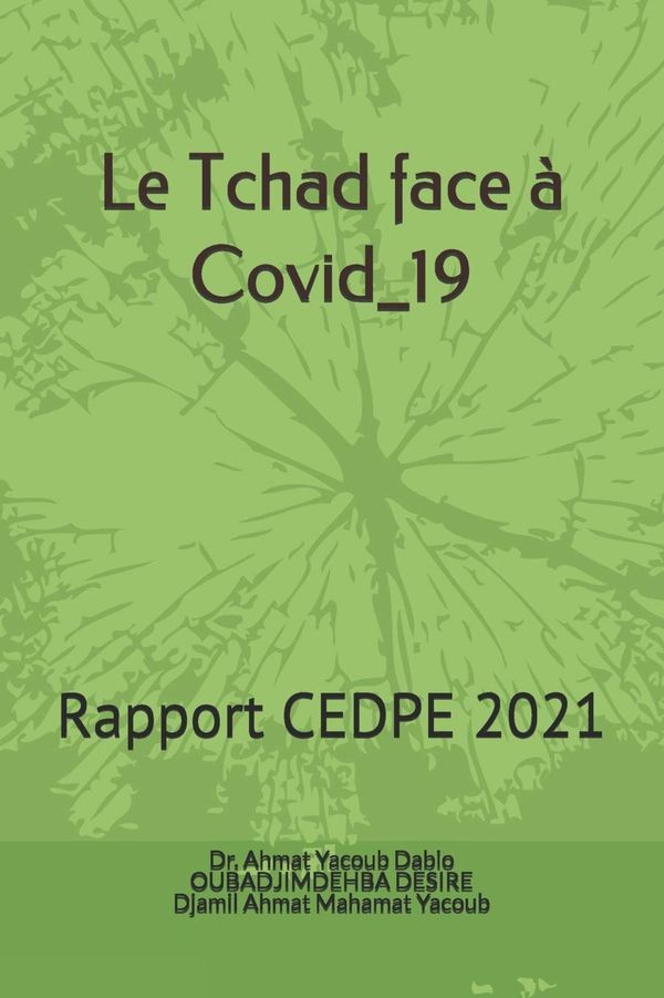 Tchad : le CEDPE publie une étude sur le comportement de la population face au COVID-19