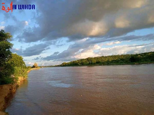 Tchad : un chef de village abattu par des hommes armés dans la zone de Tissi