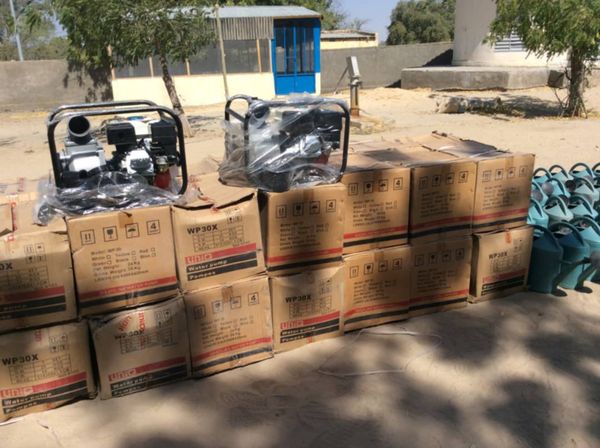 Tchad : les groupements féminins du Lac appuyés par le ministère de la Femme