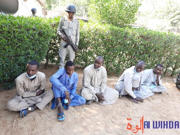Tchad : la Police nationale arrête 10 présumés malfrats
