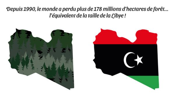 Depuis 1990, le monde a perdu plus de 178 millions d'hectares de forêt... l'équivalent de la taille de la Libye ! - par Gille