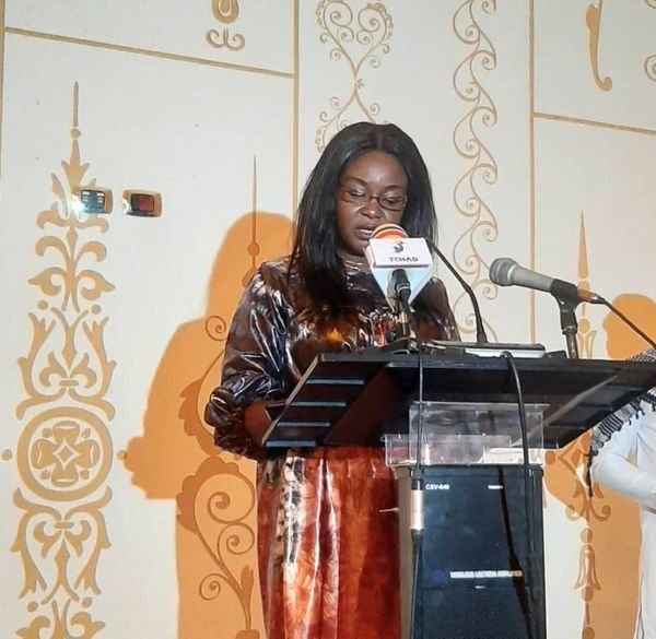 Accès à l'électricité : TIC Energy lance ses activités au Tchad