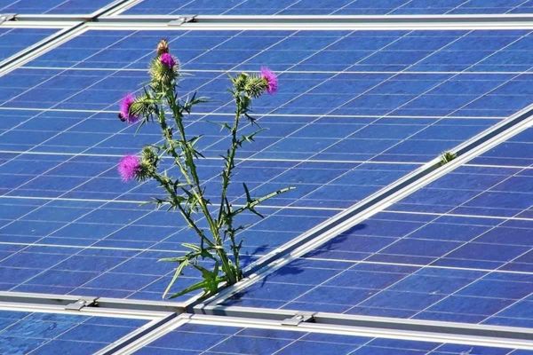 Transitions énergétiques : des perspectives de croissance pour l'économie mondiale