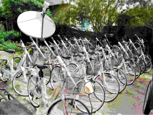 Tchad : remise des moyens roulants aux paysans-relais dans la province du Salamat