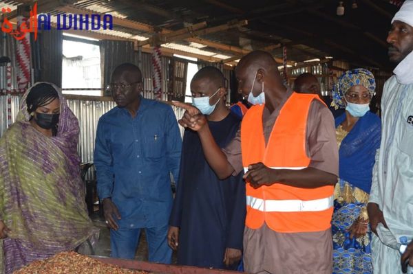 Tchad : le fonds de l'entrepreneuriat des jeunes en appui au secteur privé