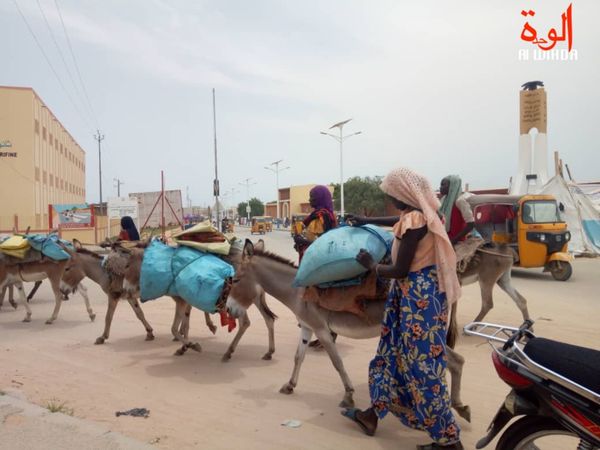 Tchad : la vente du charbon de bois au vu et au su de tous à l'Est