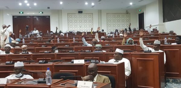 Tchad : la Loi sur la restructuration des unités administratives adoptée