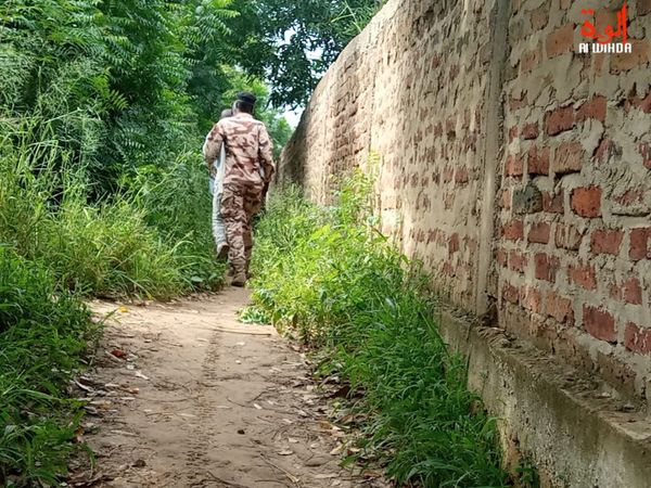 Tchad : un jeune se suicide par pendaison à Walia