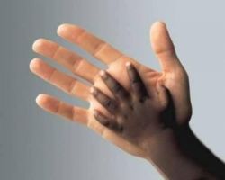 Crédit photo : Sources