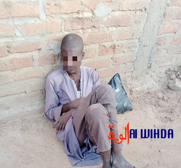 Tchad : père de famille tué par son fils à Bongor, que s'est-il passé ?