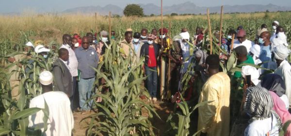 Tchad : la ministre du Développement agricole au chevet des provinces du Guera, Batha et Salamat