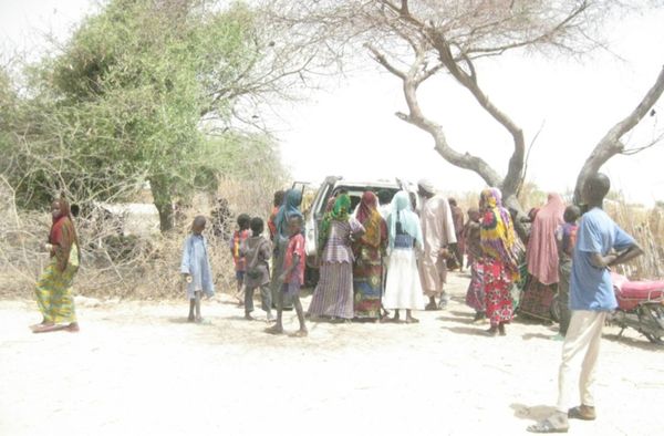 Lac Tchad : des recommandations de la Banque mondiale face aux défis de croissance et d’emploi
