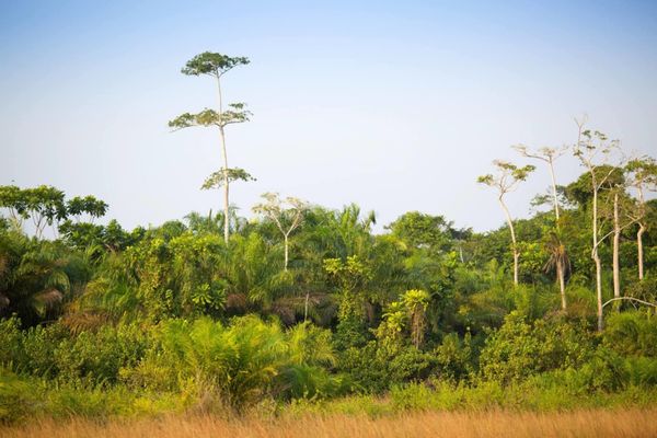 Afrique : l'USAID entend appuyer la résilience climatique du continent