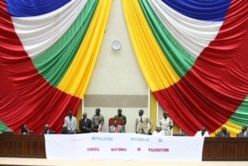 Le Conseil National de Transition. Crédit photo : Sources