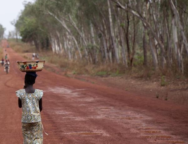 Illustration © Pierre Terdjman / AFD