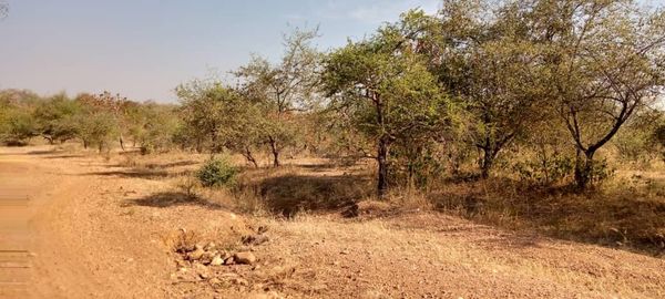 Tchad : 2 millions FCFA pour libérer deux otages au Mayo Kebbi Ouest