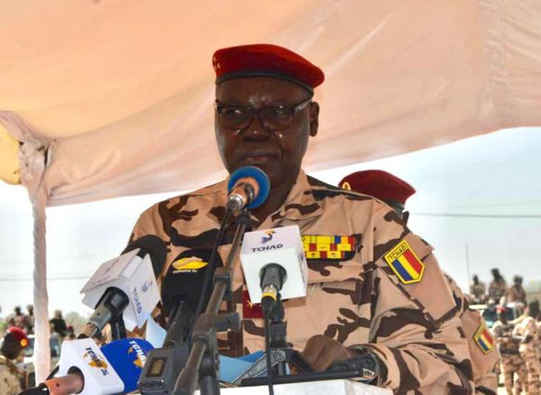 Tchad : le vice-président assiste à la présentation de 513 armes saisies