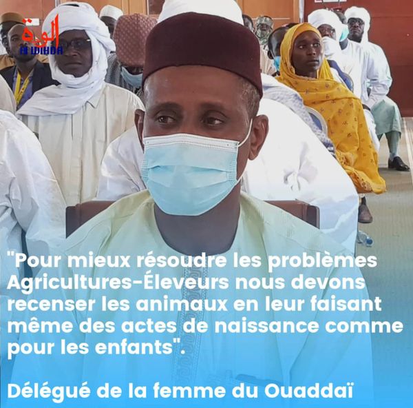 مندوب وزارة المرأة بوادي يقترح إخراج وثائق ثبوتية للحيوانات