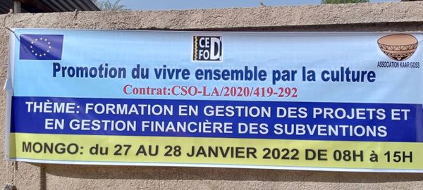 Tchad : un atelier sur le vivre ensemble et la culture à Mongo