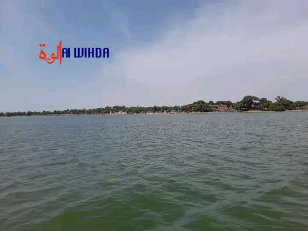 Tchad : dans le Lac-Léré, les hippopotames menacent les habitants du village Mourbamé
