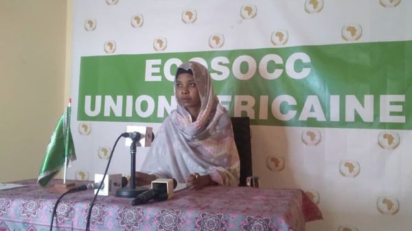ECOSOCC : la vice-présidente se prononce sur les organisations non gouvernementales