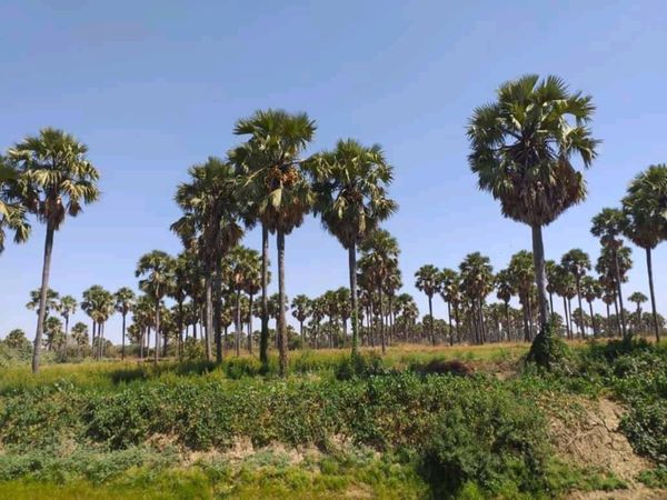 Tchad : des malfaiteurs font couler le sang au Sila, les forces de sécurité mobilisées