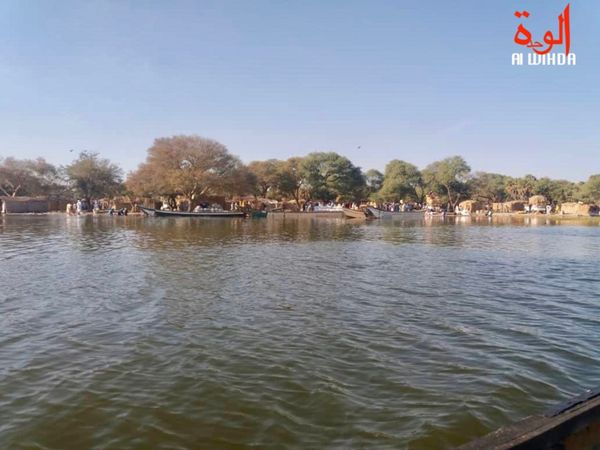 Lac Tchad : 300 combattants de Boko Haram tués, selon la FMM