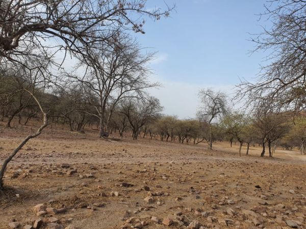 Tchad : deux coupeurs de route tués au Sila lors d'un braquage