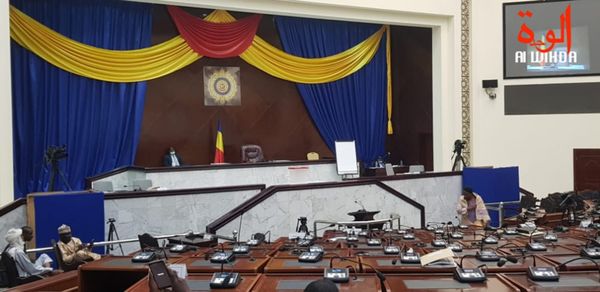 Tchad : le CNT adopte deux lois sur la restructuration de la Caisse des retraites