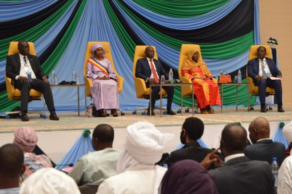 Tchad : l'accès à l'eau potable reste un combat à gagner par les États africains