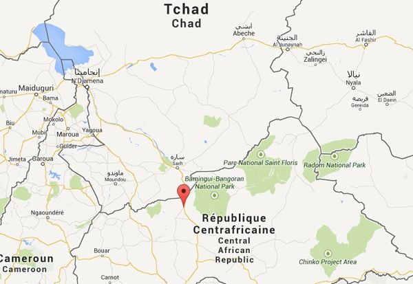 RCA : L'archevêque de Bossangoa, des prêtres et des médecins libérés par leurs ravisseurs