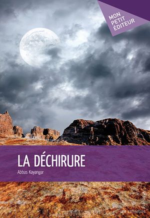 Tchad : "La déchirure", le premier livre de Abbas Kayangar
