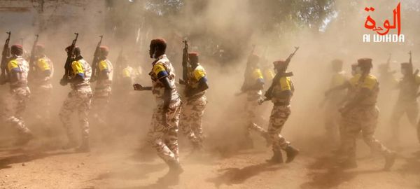 Tchad : des officiers distingués pour mission bien accomplie au Mali