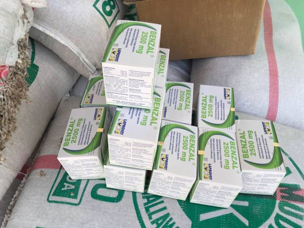 Tchad : le gouvernement lance une distribution d'aliments pour sauver le bétail